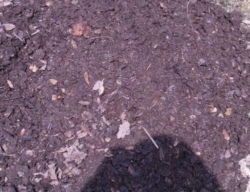 20110427124634.jpg
