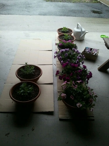 20110530121643.jpg