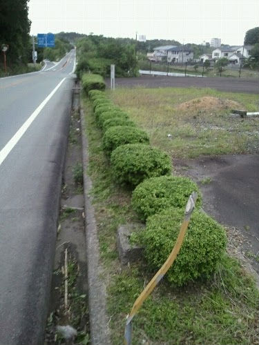 20110531082413.jpg