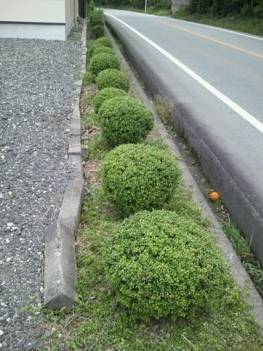 20110531082414.jpg