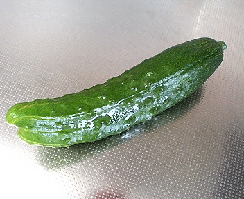 P1020023.JPG