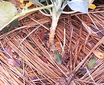 P1020051.JPG