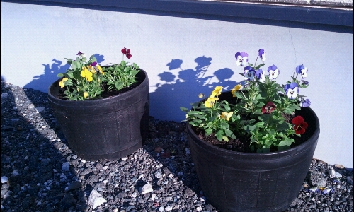 20111124084029.jpg