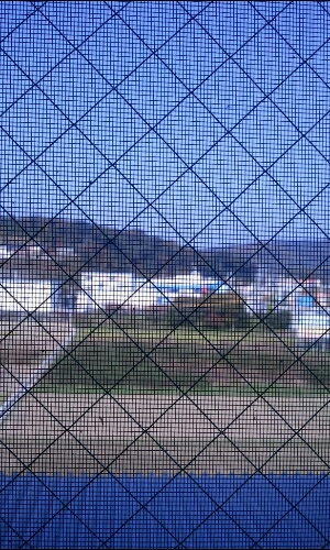 20111130013157.jpg